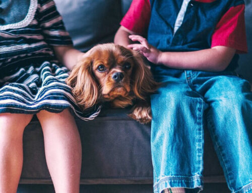 Guida alla scelta delle migliori scarpe per bambini